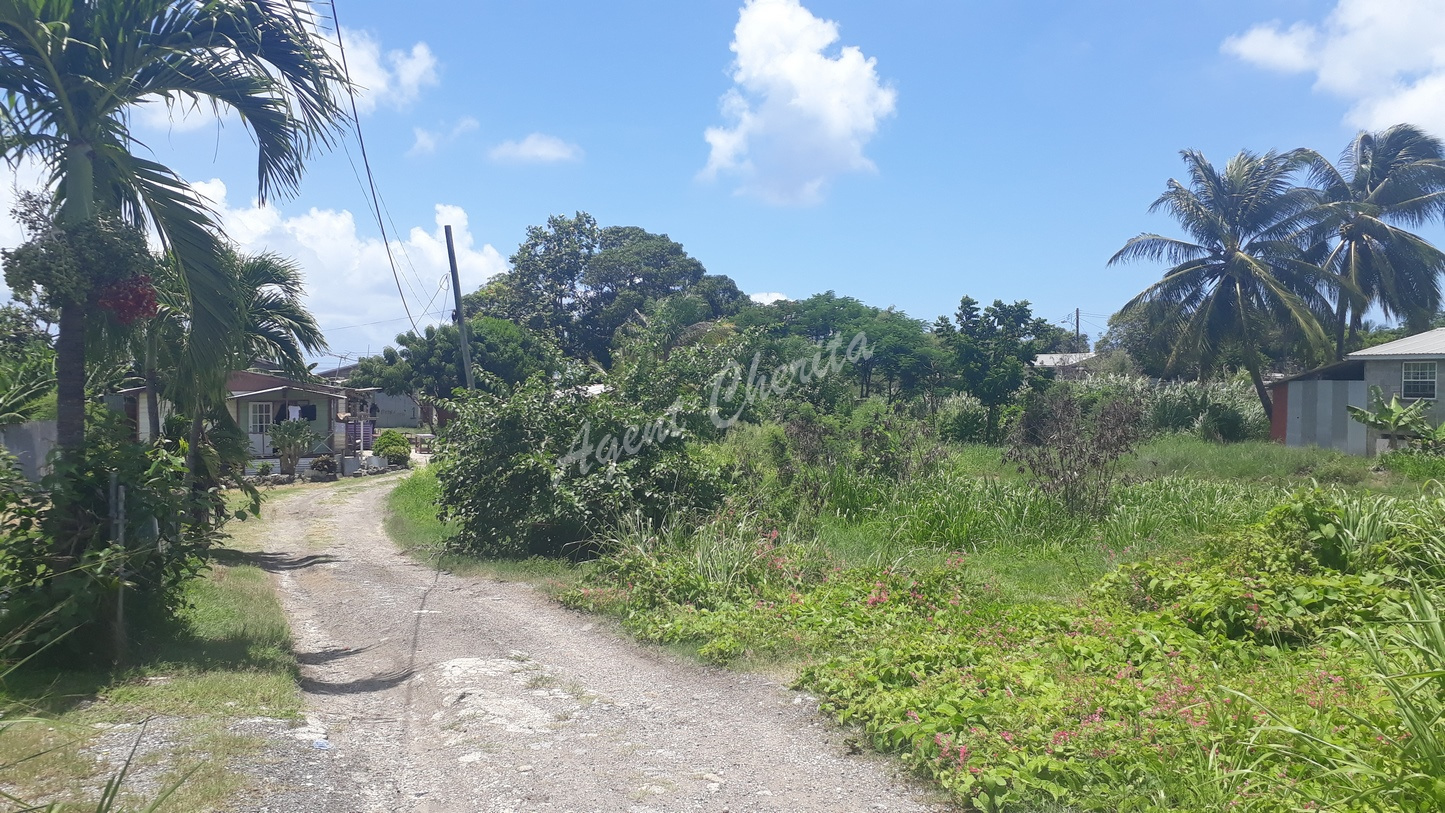 Kingsland (Montrose) Barbados Real Estate 246