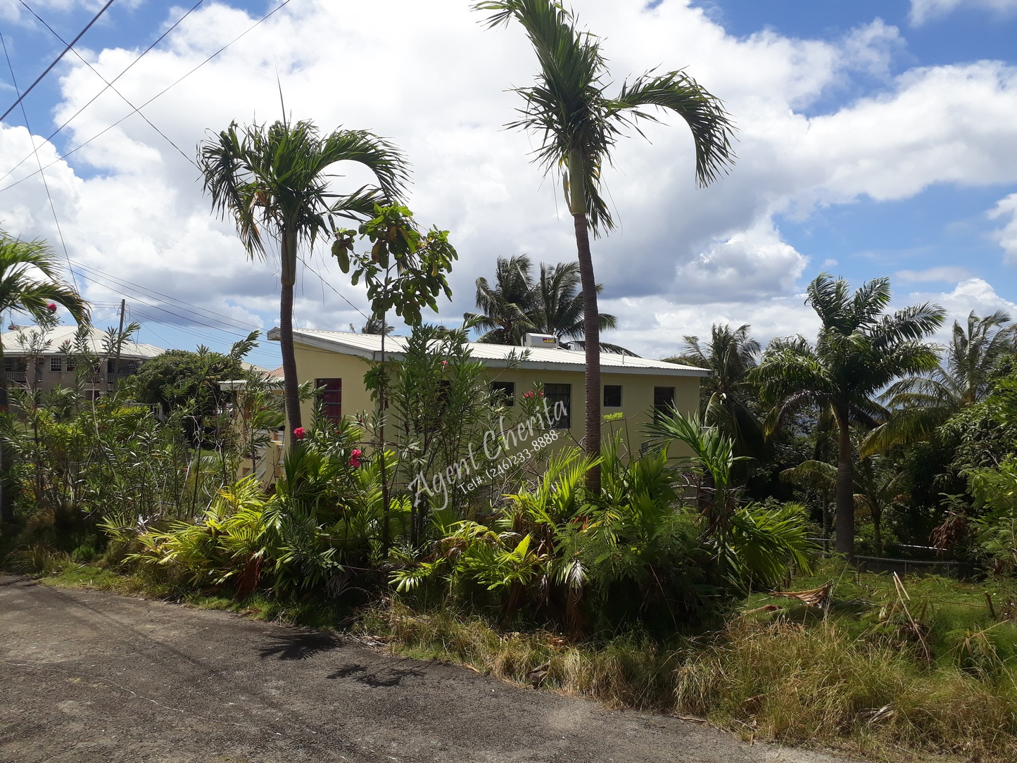 Waterhall Terrace 71 Barbados Real Estate 246