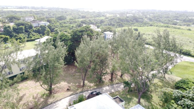 DJI_0144