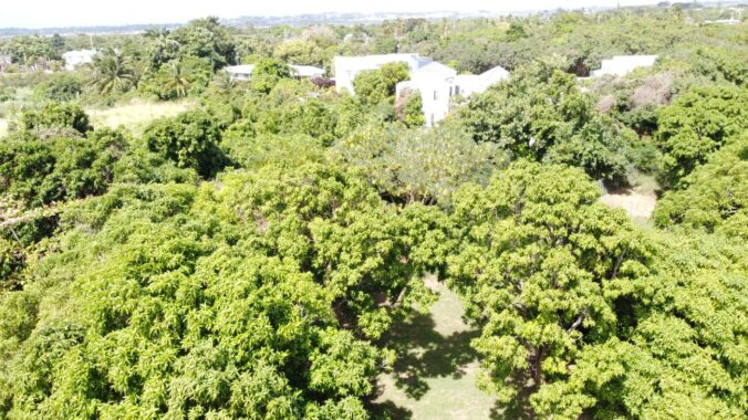 DJI_0308