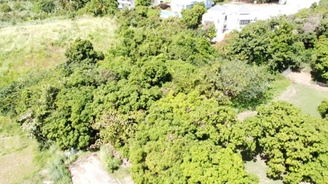 DJI_0309