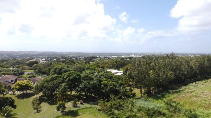 DJI_0318