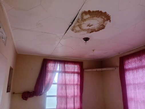 WhatsApp Image 2025-12-16 at 3.03.54 AM