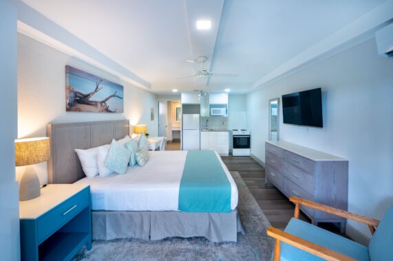 BH DISABILITY ACCESS STUDIO