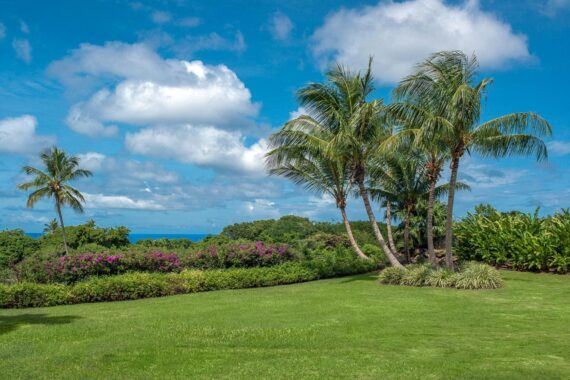 #4 Westland Heights 025