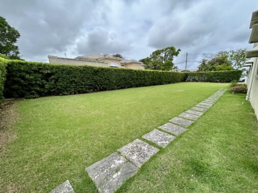 image00047